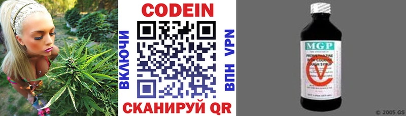 продажа наркотиков  mega зеркало  Codein напиток Lean (лин)  Шахунья 