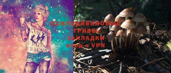 первитин Алексин