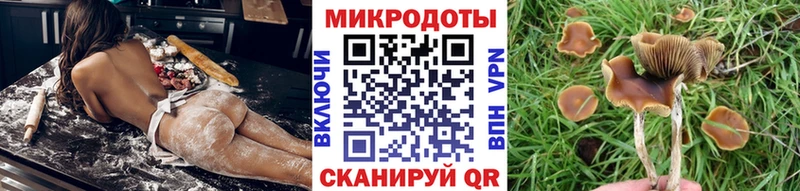 Псилоцибиновые грибы Magic Shrooms  Шахунья 
